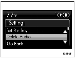 1. Select the “Delete Audio” menu.