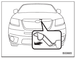 3. Release the secondary hood release