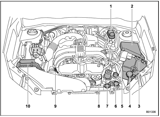 1) Brake fluid reservoir/Clutch fluid reservoir