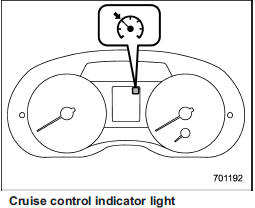 The cruise control indicator light on the