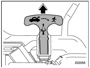 To open the trunk lid from inside the trunk,