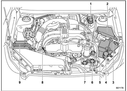 1) Brake fluid reservoir/Clutch fluid reservoir